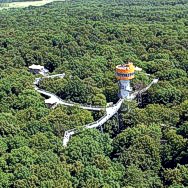 Abenteuer auf der Schiene, im Wald und auf dem Baum